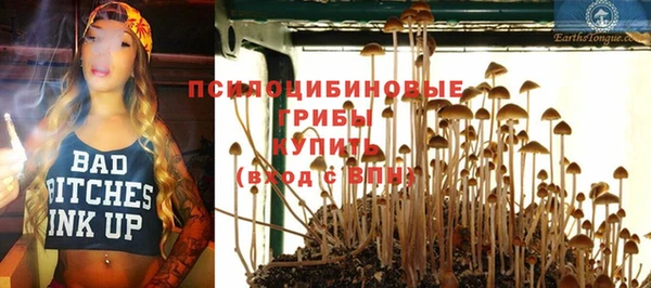 гидра Киров