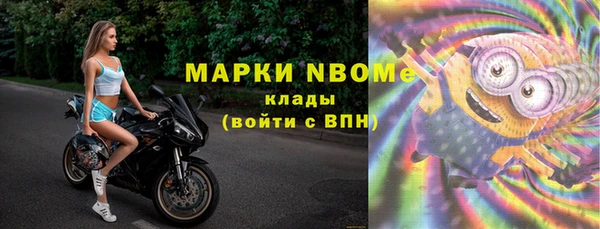 стафф Архангельск