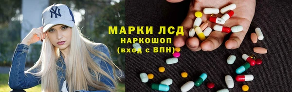 стафф Архангельск