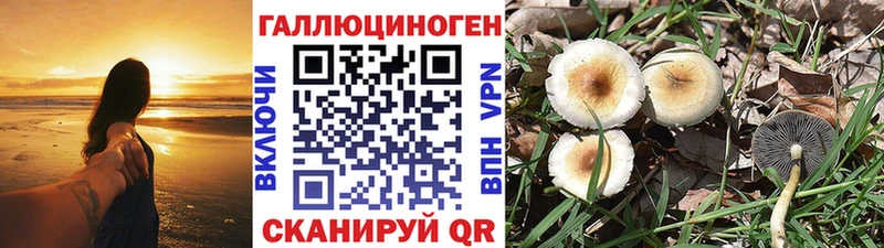 Псилоцибиновые грибы Magic Shrooms  Купить закладки  Кунгур 
